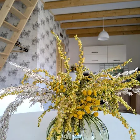 Kozianka Prázdninový dům